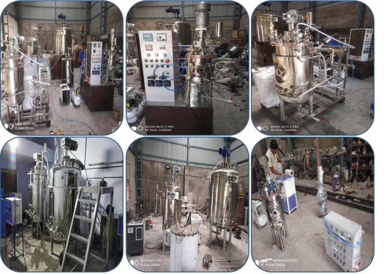 Pilot Scale Fermenter Bioreactor Manufacturer