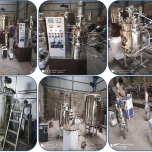 Pilot Scale Fermenter Bioreactor Manufacturer